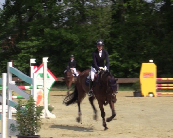 Reitturnier Wesel-Obrighoven 2025