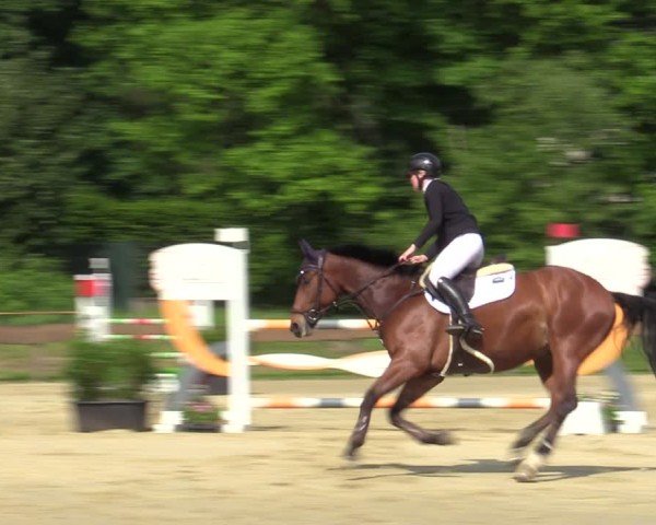 Reitturnier Wesel-Obrighoven 2025