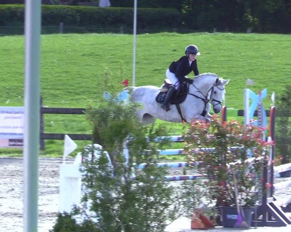 Reitturnier Looperholz 2025