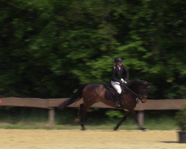 Reitturnier Wesel-Obrighoven 2025