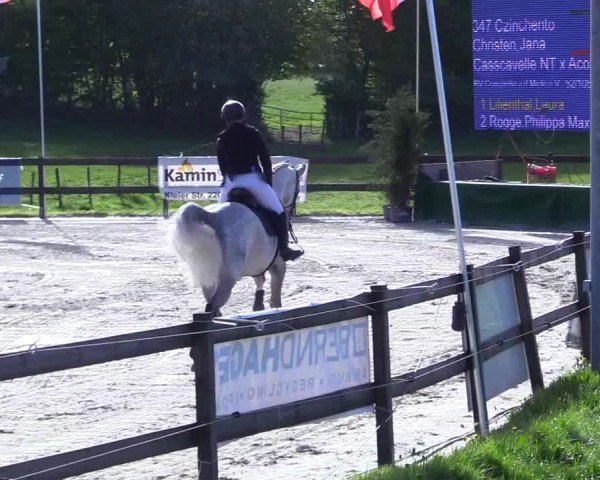 Reitturnier Looperholz 2025