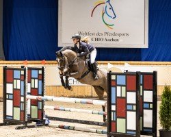 jumper Lana 176 (KWPN (Royal Dutch Sporthorse), 2016, from Caretino Gold)