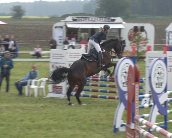 Reitturnier Wehnsdorf 2025