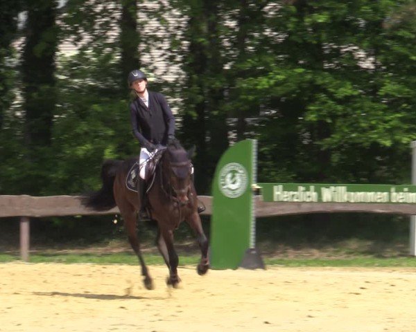 Reitturnier Wesel-Obrighoven 2025