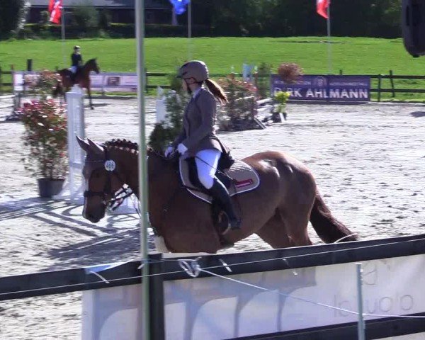 Reitturnier Looperholz 2025