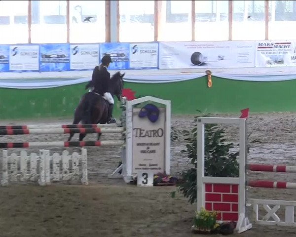 Keppelner Springpferdemeeting 2014