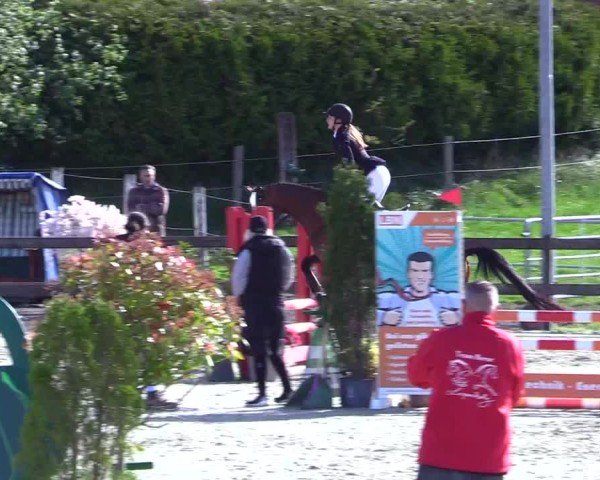 Reitturnier Looperholz 2025