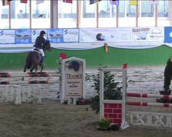 Keppelner Springpferdemeeting 2014