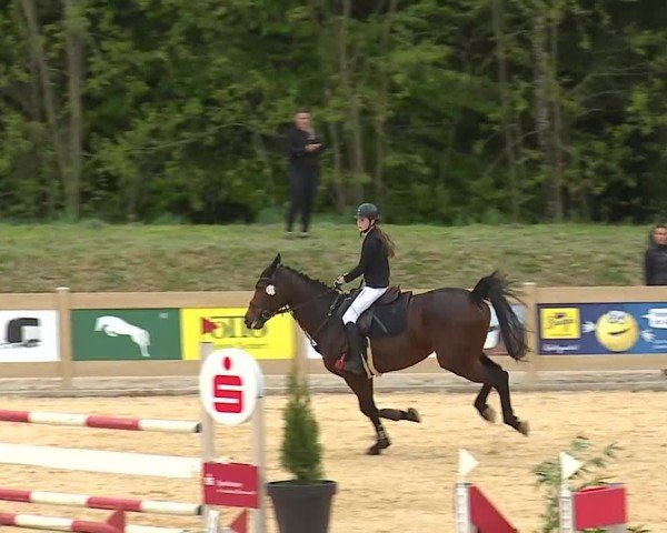 Reitturnier Tiefenhof/Opf. 2025