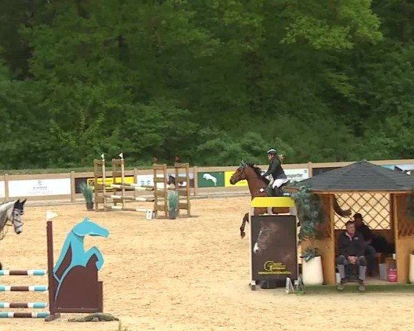 Reitturnier Tiefenhof/Opf. 2025