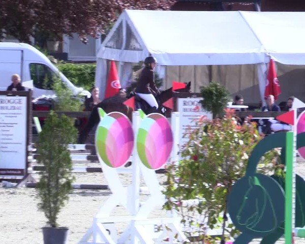 Reitturnier Looperholz 2025