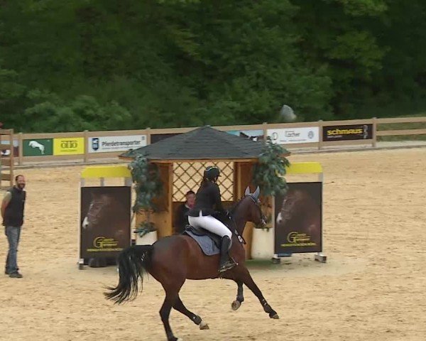 Reitturnier Tiefenhof/Opf. 2025