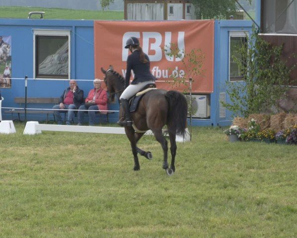 Reitturnier Wehnsdorf 2025