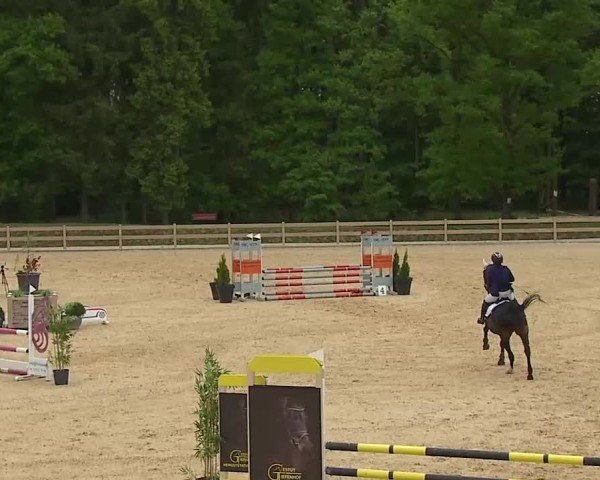 Reitturnier Tiefenhof/Opf. 2025