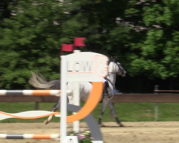 Reitturnier Wesel-Obrighoven 2025