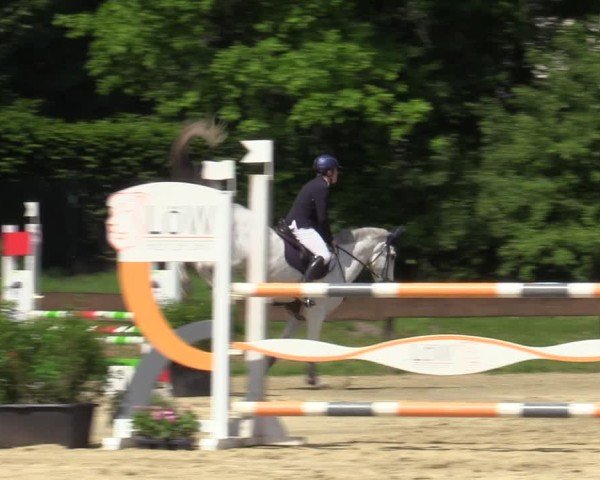 Reitturnier Wesel-Obrighoven 2025