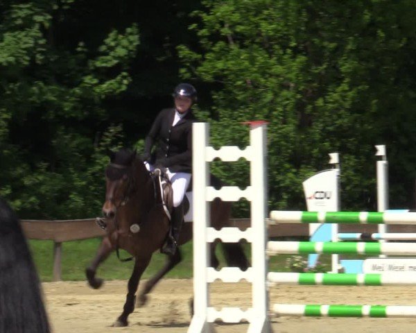 Reitturnier Wesel-Obrighoven 2025