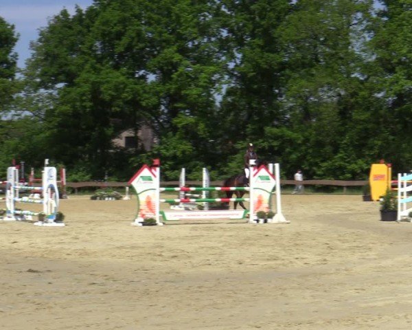 Reitturnier Wesel-Obrighoven 2025