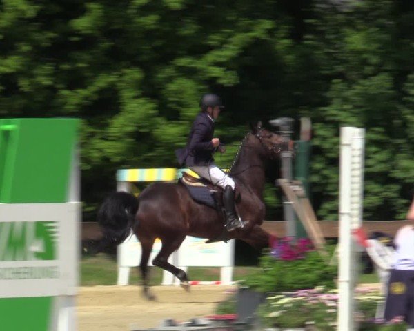 Reitturnier Wesel-Obrighoven 2025