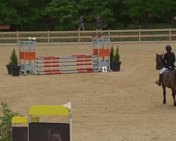 Reitturnier Tiefenhof/Opf. 2025
