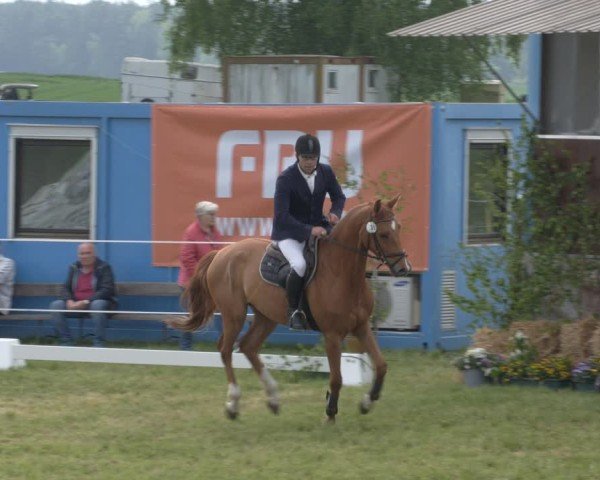 Reitturnier Wehnsdorf 2025