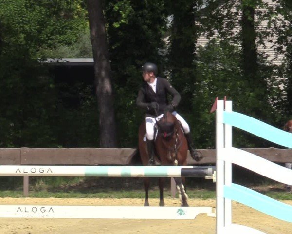 Reitturnier Wesel-Obrighoven 2025