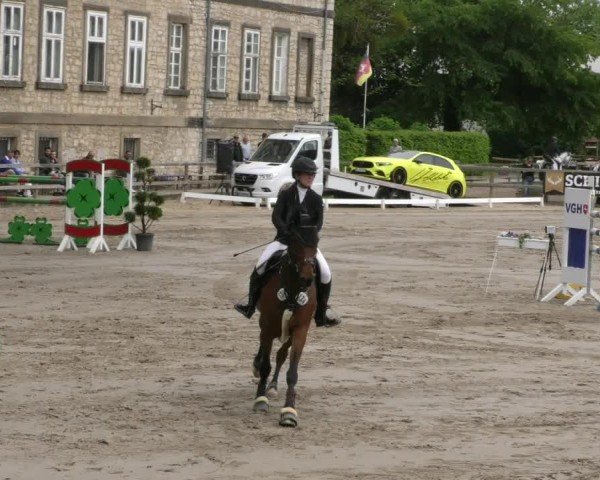 Reitturnier Hildesheim-Steuerwald 2025