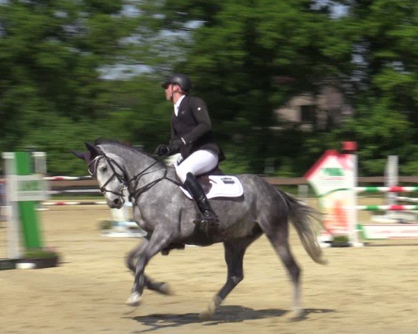 Reitturnier Wesel-Obrighoven 2025
