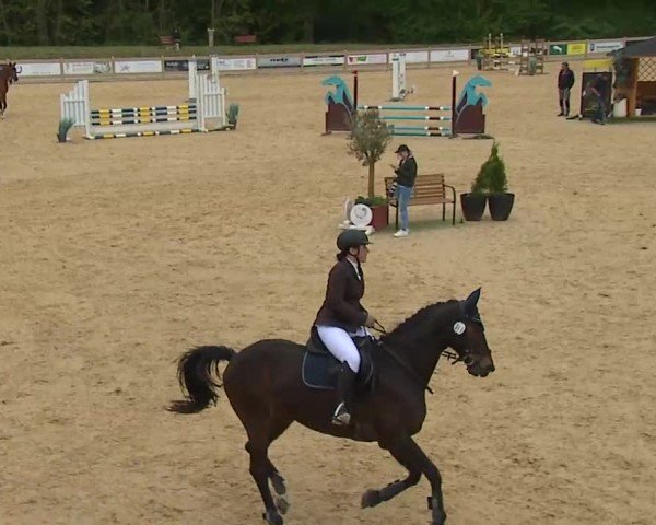 Reitturnier Tiefenhof/Opf. 2025