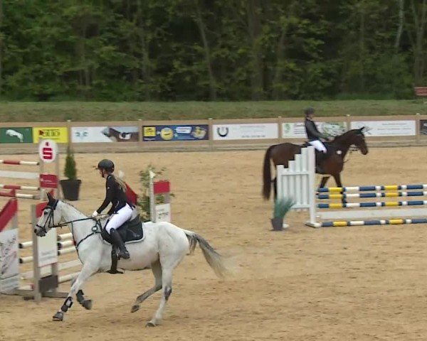 Reitturnier Tiefenhof/Opf. 2025