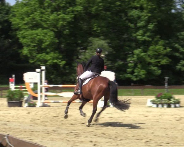 Reitturnier Wesel-Obrighoven 2025