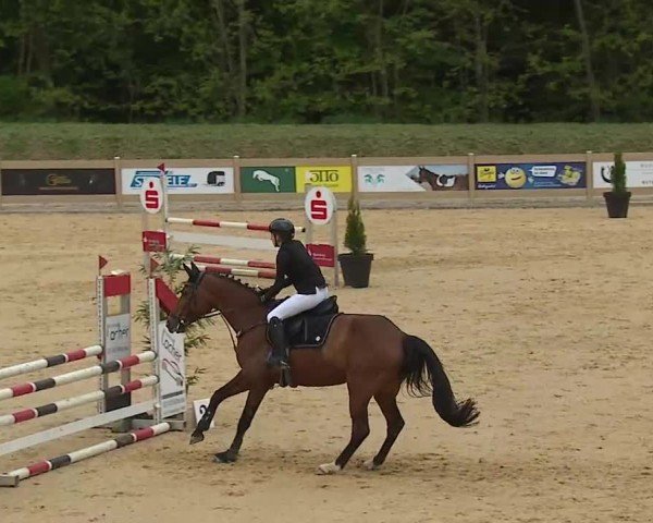 Reitturnier Tiefenhof/Opf. 2025
