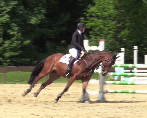 Reitturnier Wesel-Obrighoven 2025