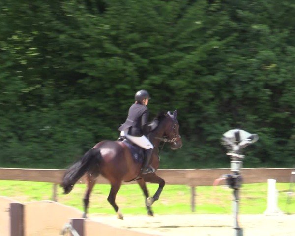 Reitturnier Wesel-Obrighoven 2025