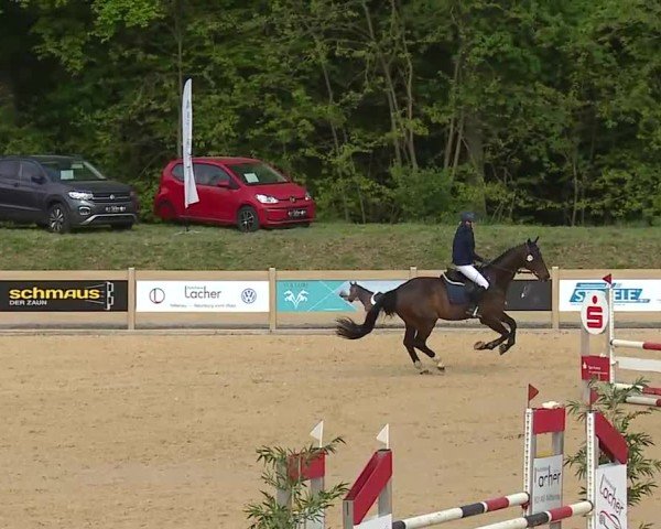 Reitturnier Tiefenhof/Opf. 2025