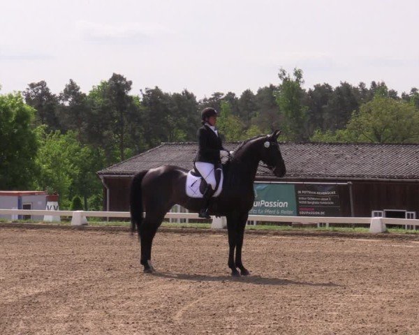 Reitturnier Teupitz 2025