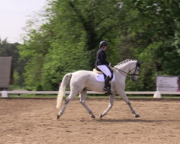 Reitturnier Teupitz 2025