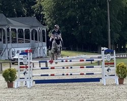 jumper Gk Elisabeth (Holsteiner, 2012, from Clarimo Ask)