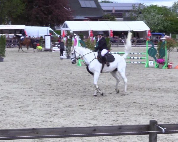 Reitturnier Looperholz 2025