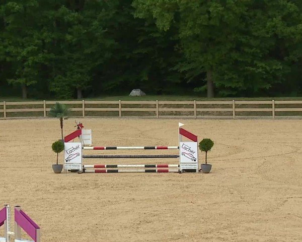 Reitturnier Tiefenhof/Opf. 2025