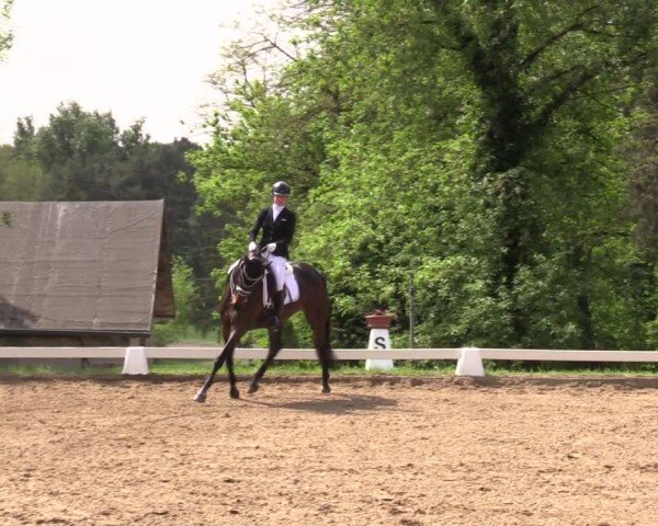 Reitturnier Teupitz 2025