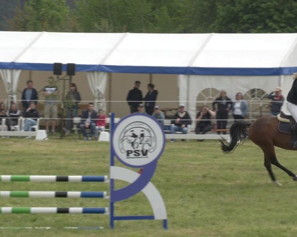 Reitturnier Wehnsdorf 2025