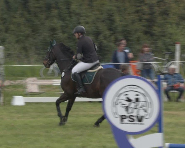 Reitturnier Wehnsdorf 2025