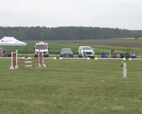 Reitturnier Wehnsdorf 2025