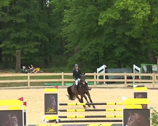 Reitturnier Tiefenhof/Opf. 2025