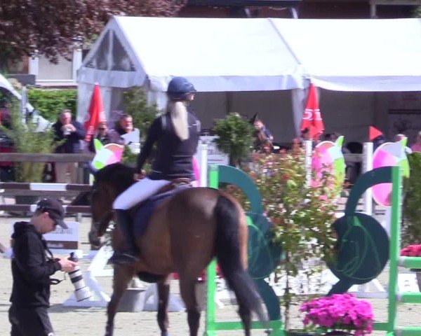 Reitturnier Looperholz 2025