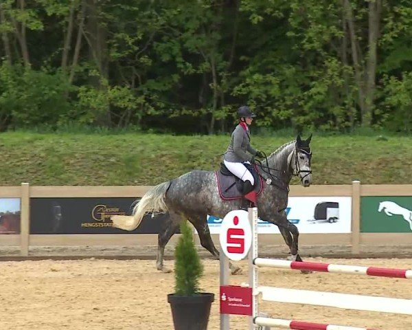 Reitturnier Tiefenhof/Opf. 2025