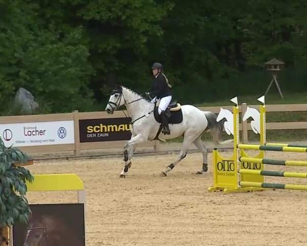 Reitturnier Tiefenhof/Opf. 2025