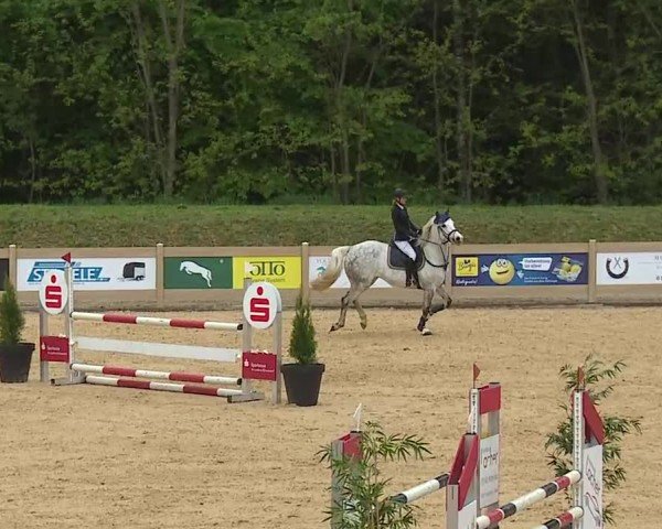 Reitturnier Tiefenhof/Opf. 2025