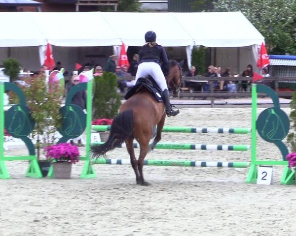 Reitturnier Looperholz 2025